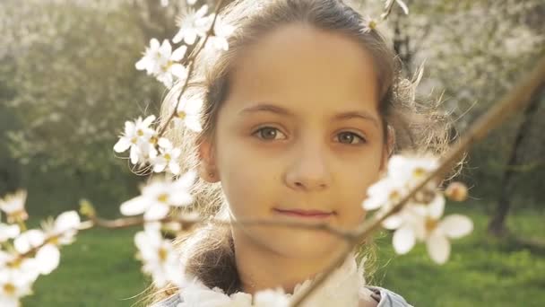 Glückliche Kinder, fallende Blütenblätter Baum — Stockvideo
