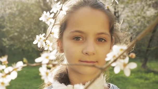 Niños felices, árbol de pétalos que cae — Vídeos de Stock