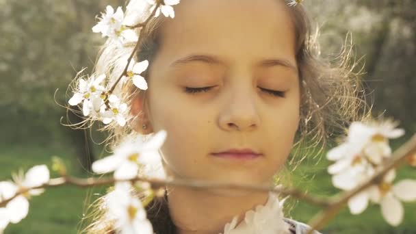 Niños felices, árbol de pétalos que cae — Vídeo de stock