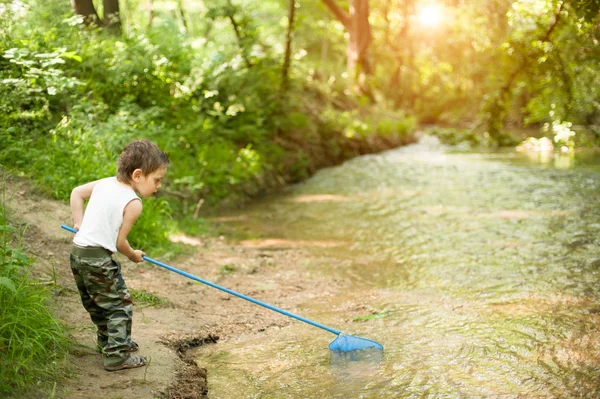 Liten pojke, net, floden, sommar, värme, fiske, naughty, rolig, skog — Stockfoto