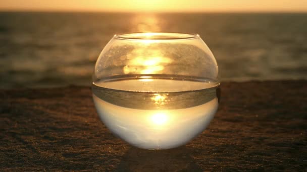 Glass Bowl Water Small Fish Seashore Background Ocean Rays Setting — Stock Video