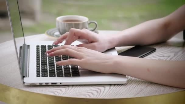 Establecer Metas Manicura Las Manos Femeninas Escribiendo Portátil Taza Café — Vídeo de stock