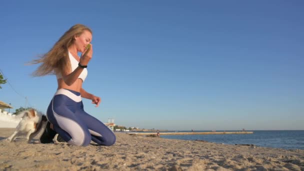 Lydnad fritid aktivitet ung aktiv vacker kvinna kasta frisbee skiva på sandstrand med chihuahua liten hund fånga det hoppar i blå himmel — Stockvideo