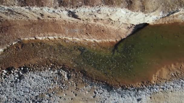 小石の崖で川の岸を眺め水の中に化学廃棄物を排出する 白い泡が汚れた表面の水茶色の緑色に浮かんでいます 環境天然資源の汚染を — ストック動画