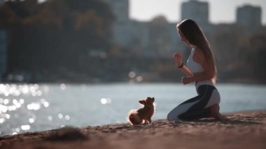 Aktif, genç spor sahibi kadın yaz güneşinde şehrin kumsalında el pençe divan duran küçük chihuahua köpeğiyle oynuyor.