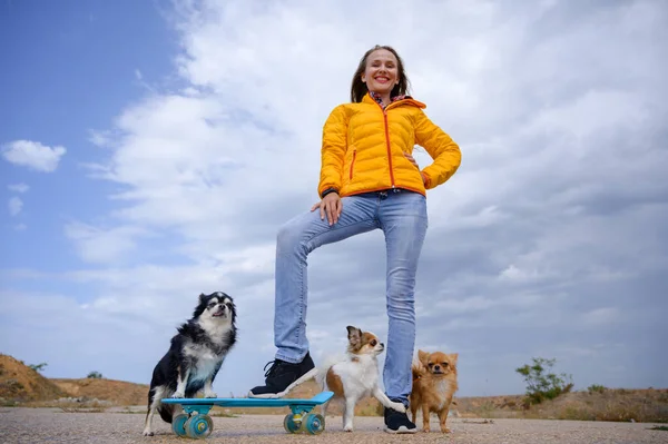 Beautiful young smiling happy woman in yellow autumn jacket and blue jeans standing with skateboard and three chihuahua pet dogs on cloudy sky background with copy space — Stock Photo, Image