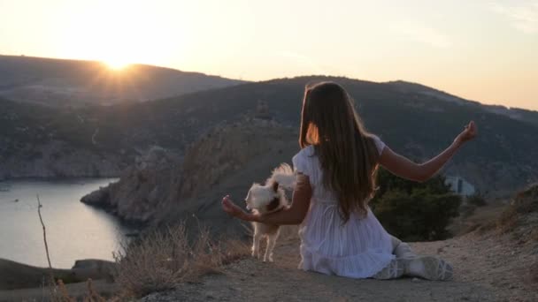 Jeune femme propriétaire formation son petit chien chihuahua faire tour sautant par-dessus les mains assis dans un bel endroit près de la baie de la mer avec montagne sur le coucher de soleil chaud d'été — Video