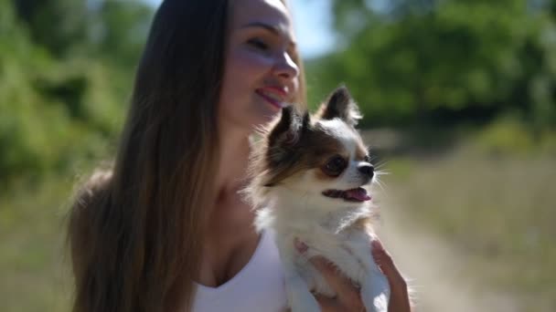 Joven bonita mujer sosteniendo y abrazando lindo perro pequeño mascota chihuahua durante recreación al aire libre actividad de ocio con amor y ternura y cuidado — Vídeo de stock