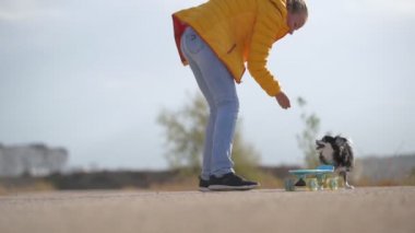 İtaatkar kaykaycı köpek eğitimi alan genç bir kadın, Chihuahua evcil hayvanına açık hava aktivitesi sırasında kaykay sürmeyi öğretiyor.