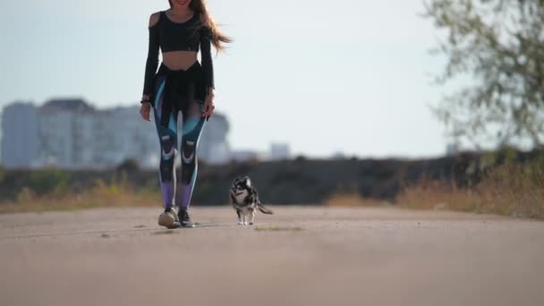 Mujer deportiva activa pasear y correr con perro mascota gorda chihuahua perro para un estilo de vida saludable al aire libre — Vídeo de stock