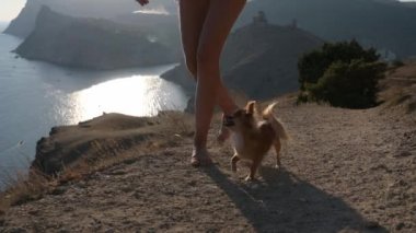... güzel sahil kıyısında sahil kenarında yaz günbatımında dağ ve tepelerde köpek yetiştiren bir kadın tarafından eğitildi.
