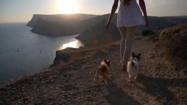 Activa bastante joven hembra caminando a lo largo de la costa de montaña bahía de mar con dos pequeños amigos perros chihuahua siguiéndola en hermoso verano cálido paisaje de puesta de sol — Vídeo de stock