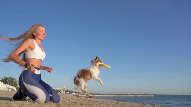 Активный отдых на свежем воздухе послушание занятия спортом красивая молодая женщина бросает желтый диск фрисби прыгать маленькая собака чихуахуа на летнем песчаном пляже на голубом фоне неба — стоковое видео