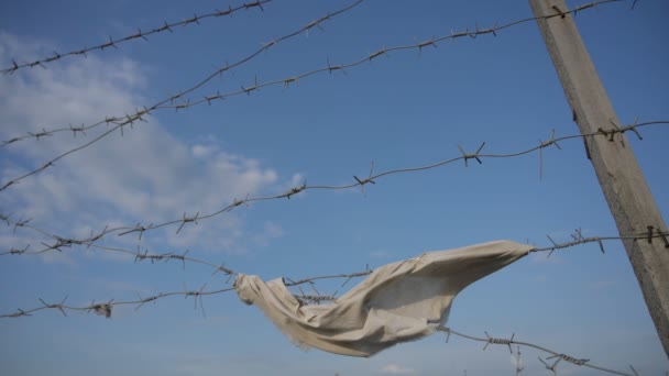 Illegal migration concept of barbed razor wire with clothes on blowing wind on blue sky background — Stock videók