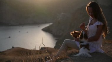 Mutlu güzel bir kız okşuyor iki küçük chihuahua köpeğini sıcak yaz günbatımında dağda deniz kenarında birlikte otururken.