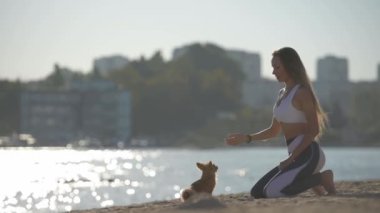 İtaat ilişkisi konsepti. Aktif spor yapan genç bir kadının deniz kenarı yaz plajında yavaş çekimde eğitim sırasında küçük bir chihuahua köpeğiyle oynaması.