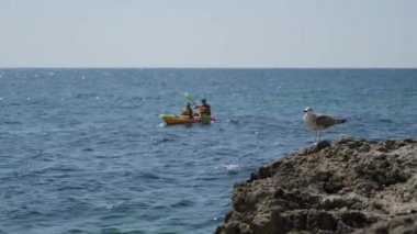 Yaz tatili boyunca iki kişi kayalık sahilde kanoyla açılırken martı gibi oturuyor.