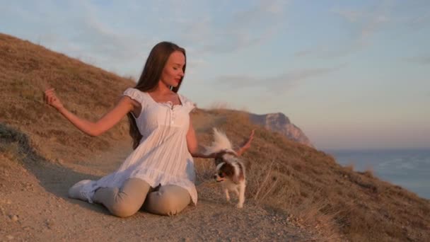 Активна молода жінка тренує свого маленького собаку чихуахуа стрибає над руками під час активного відпочинку — стокове відео