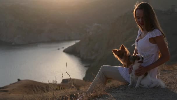 Szczęśliwy młoda kobieta właściciel siedzi na pięknej górze w pobliżu zatoki morskiej w zachód słońca z dwoma uroczymi psami chihuahua podczas letnich wycieczek turystycznych w wakacje — Wideo stockowe