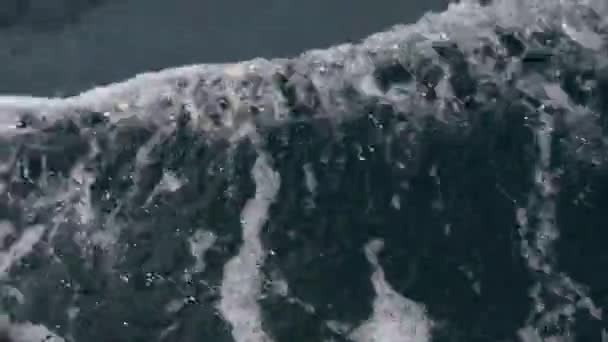 夏休みの航海中にセーリングボートやヨットから海の水に波とスプラッシュ — ストック動画