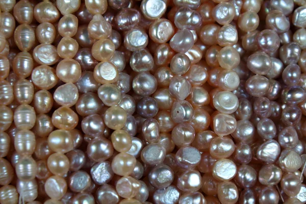 İnci arka plan nedeni