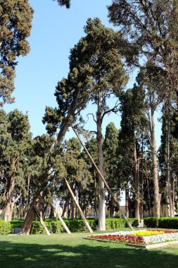 Iran: selvi düşüyor