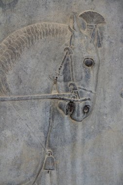 IRAN Persepolis: Horse clipart