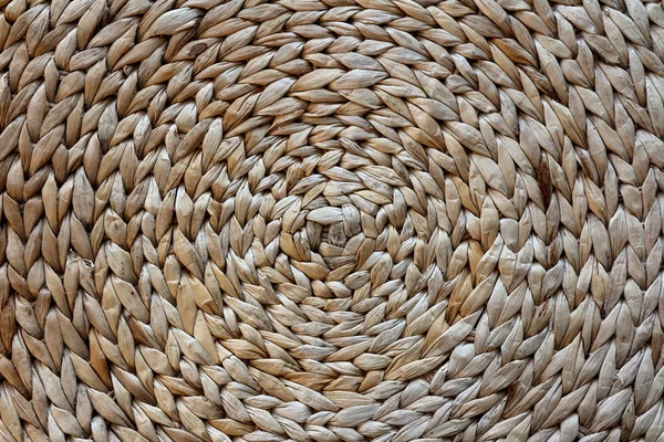 Saman sarmal Backgroung