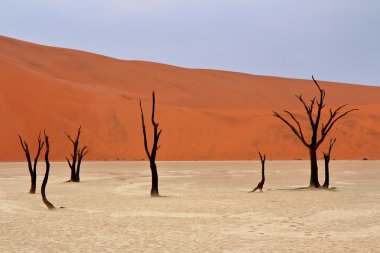 Sossusvlei: Namib Çölü, Namibya