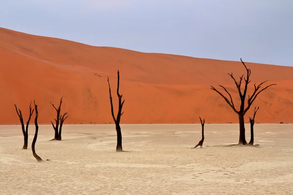 Соссусвлеи: Пустыня Намиб, Намибия — стоковое фото