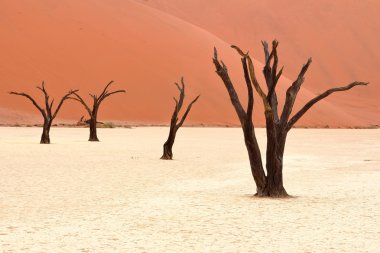 Sossusvlei: Namib Desert, Namibia clipart