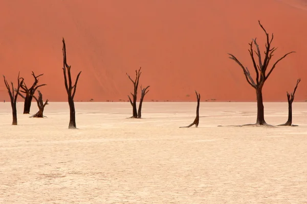 Sossusvlei: deserto del Namib, Namibia — Foto Stock