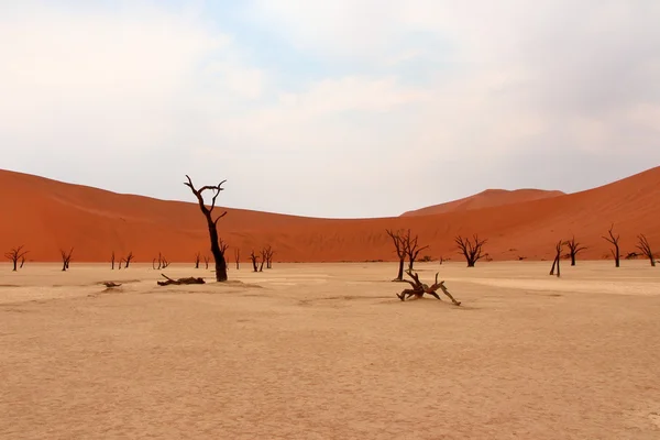 Sossusvlei, Namib Çölü, Namibya — Stok fotoğraf