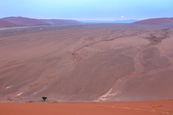 Sossusvlei, Namib Çölü, Namibya