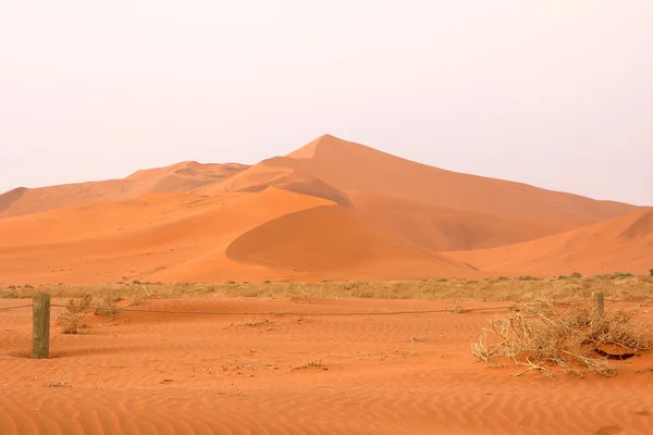 Sossusvlei: піщані дюни — стокове фото