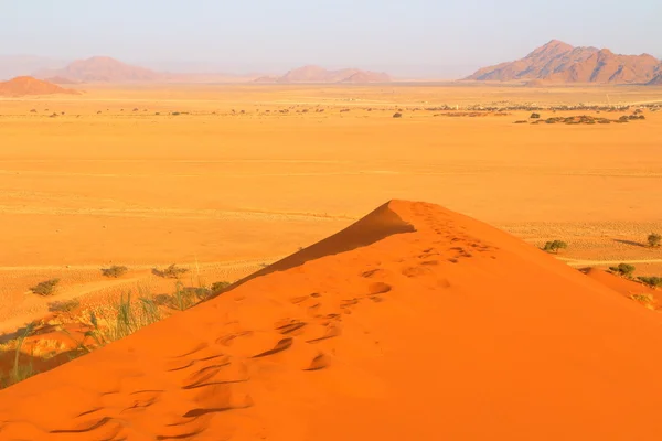Sossusvlei: kum tepeleri — Stok fotoğraf