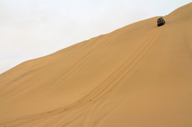 Desert exploration in Namibia clipart