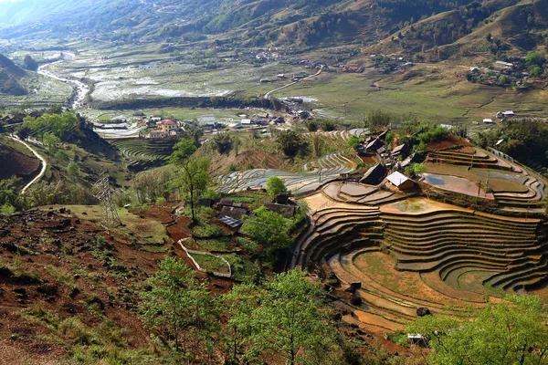 Terrace rice fields — Stock Photo, Image