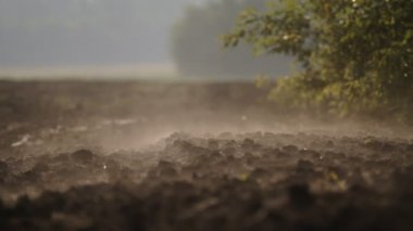 sürülmüş alan. Sabah buharı arazi üzerinde. Tarım