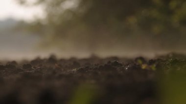 sürülmüş alan. Sabah buharı arazi üzerinde. Tarım