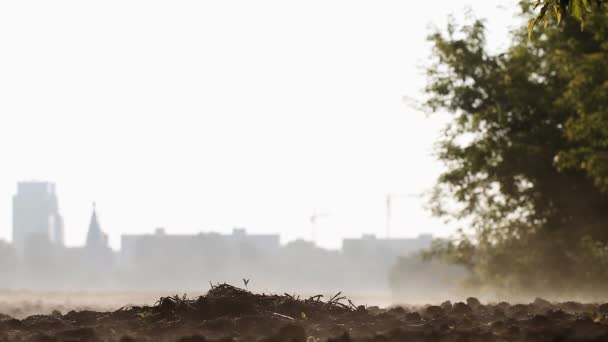 Πεδίο "όργωσε". Πρωί υδρατμών πάνω από το land.agriculture — Αρχείο Βίντεο