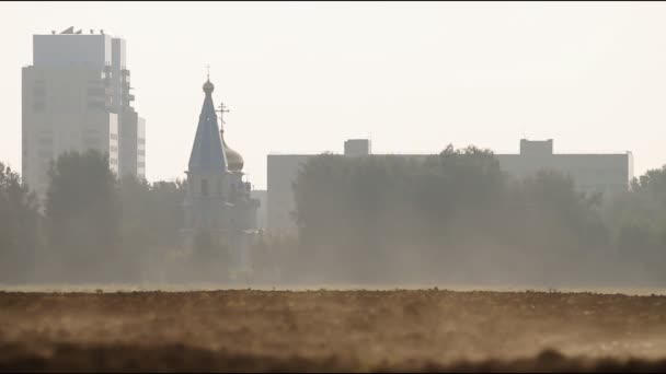 Оранжеве поле. Ранкова пара над землею. сільське господарство — стокове відео