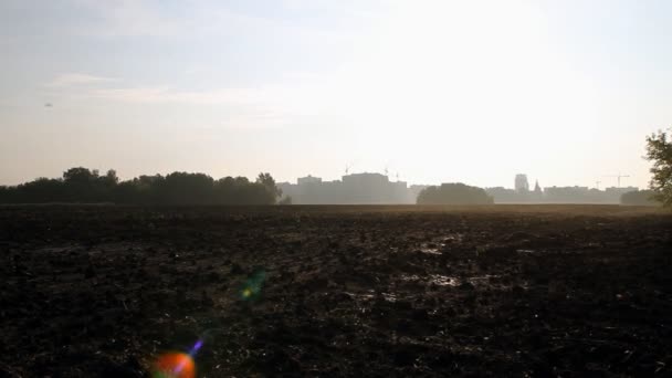 O campo arado. Vapor matutino sobre a terra.agricultura — Vídeo de Stock