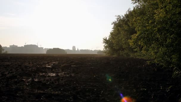 Il campo arato. Vapore mattutino sulla terra.agricoltura — Video Stock