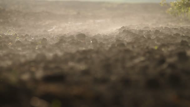 The plowed field. Morning vapor over the land. agriculture — Stock Video