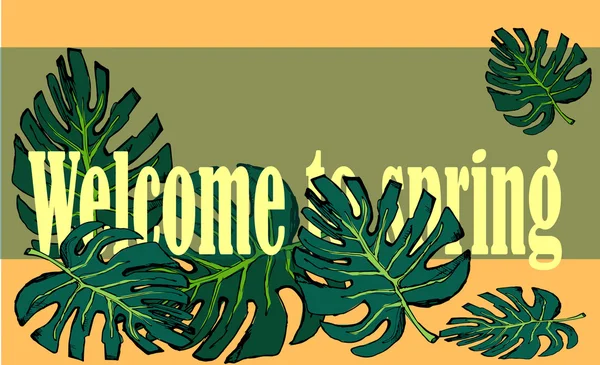 Spring.Vector halat için hoş geldiniz