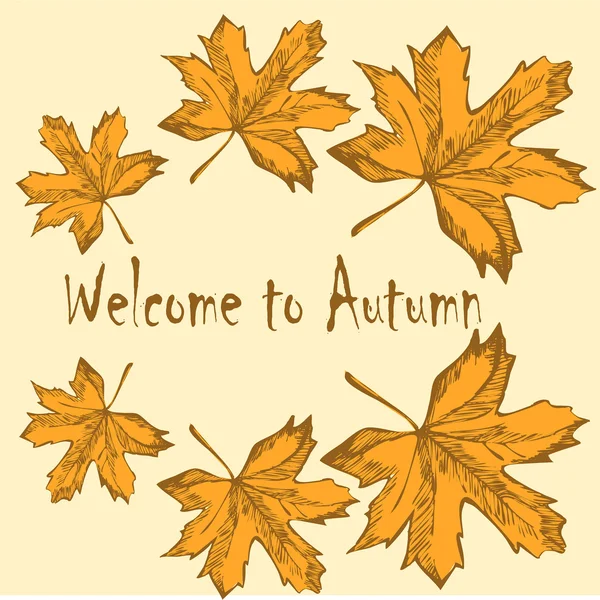 Sonbahar yuvarlak çerçeve. Çelenk sonbaharın sarı yaprakları. Arka plan ile elle çizilmiş sonbahar yaprakları. Sonbahar yaprakları. Kroki, tasarım öğeleri