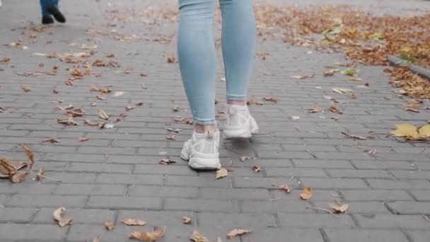 Portrait de jambes féminines en jean léger et baskets en gros plan marchant le long de la route parsemée de feuilles. Angle de vue bas, ralenti 4k — Video