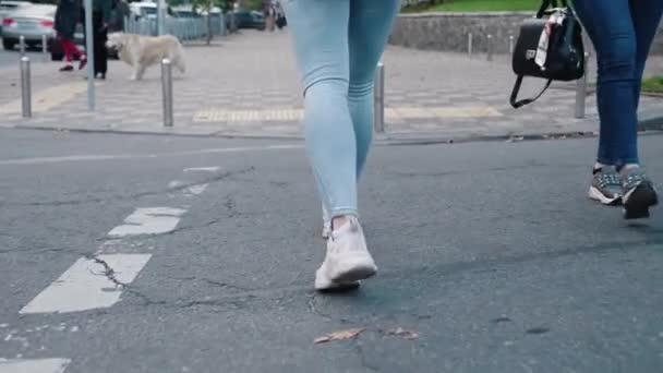 Vista posteriore di gambe donna irriconoscibili in scarpe da ginnastica e jeans che camminano sulla strada della città. Fotocamera seguire le gambe della giovane donna pedonale attraversando la strada in un centro affollato — Video Stock