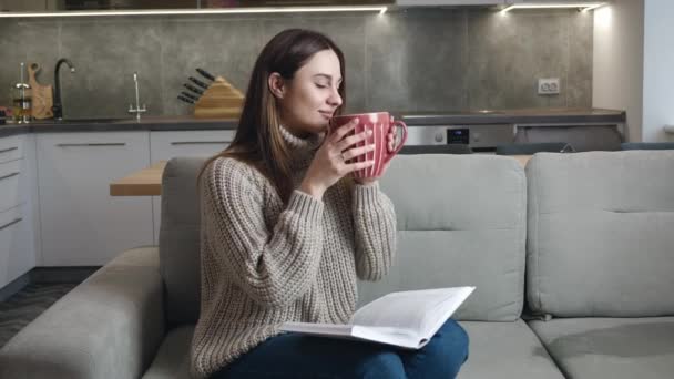 Duizendjarige vrouw in gebreide grijze trui zittend op de bank met een kopje thee en het lezen van een boek — Stockvideo